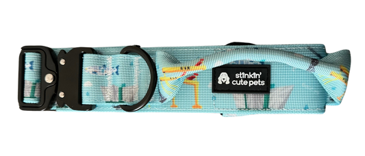 Belfast Blue Tactical Collar (Adjustable)