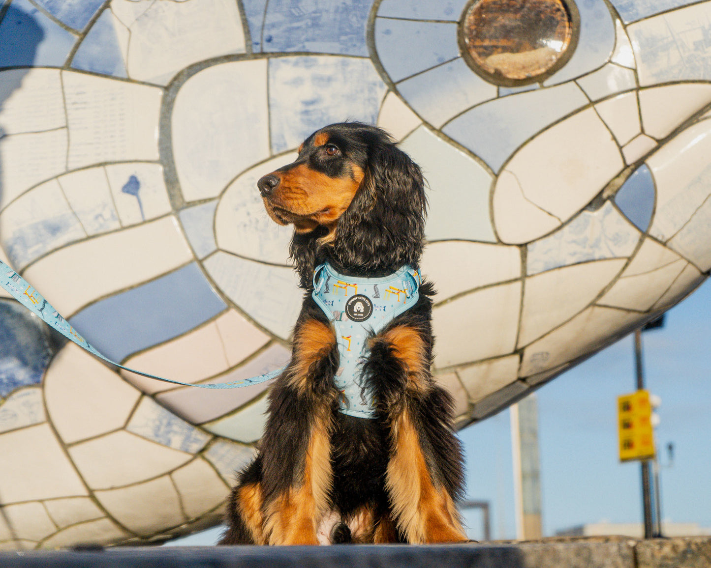 Belfast Eejit Harness (Adjustable) - Blue