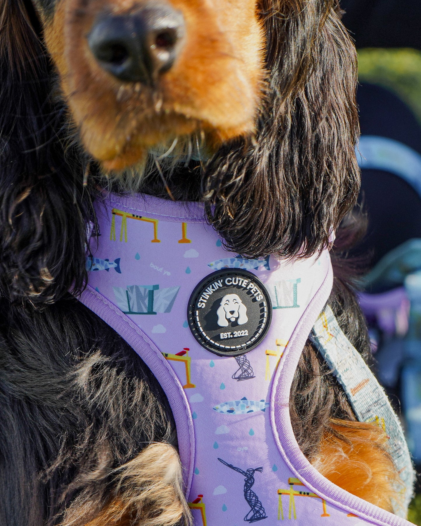 Belfast Eejit Harness (Adjustable) - Pink