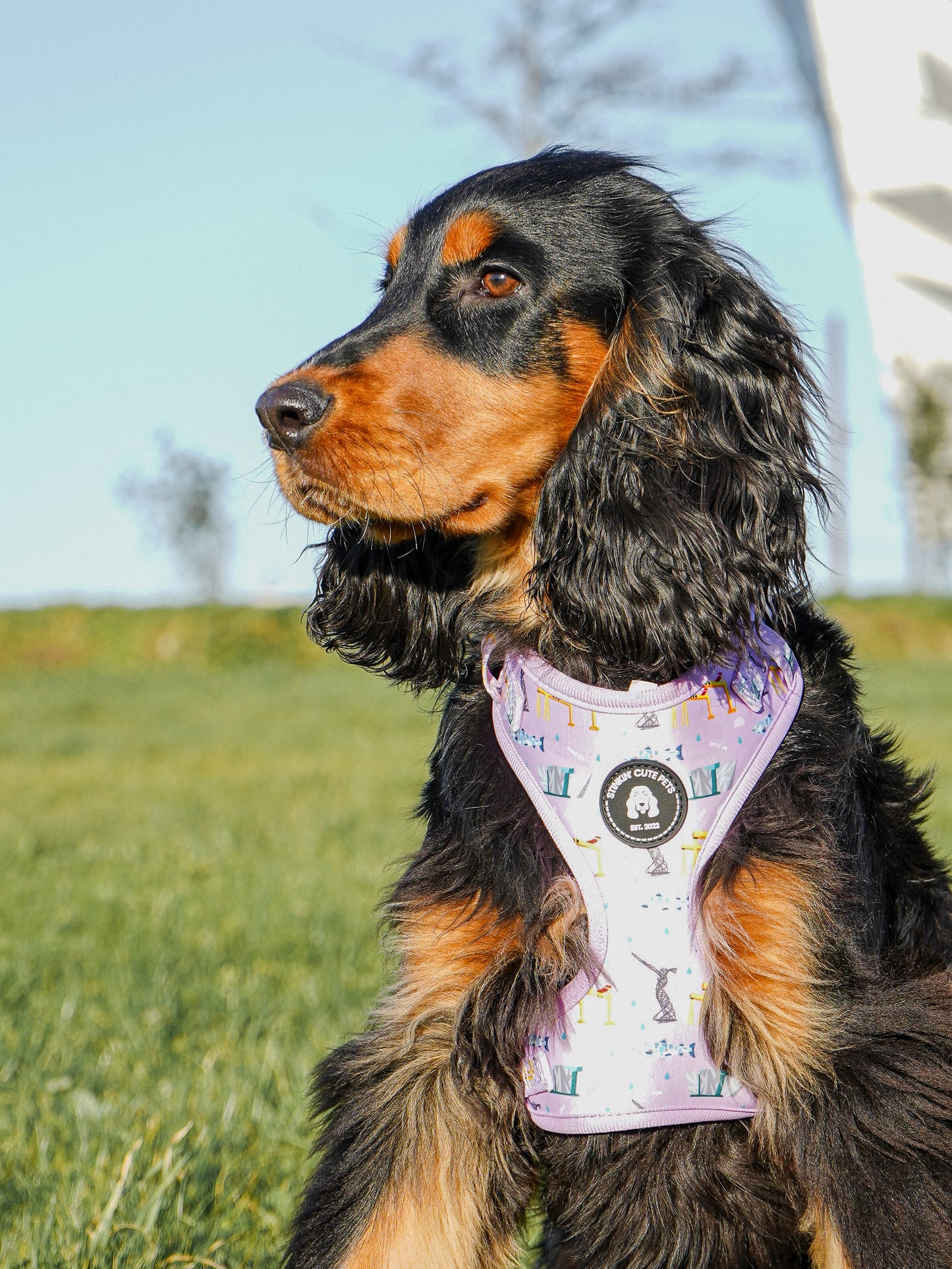 Belfast Eejit Harness (Adjustable) - Pink