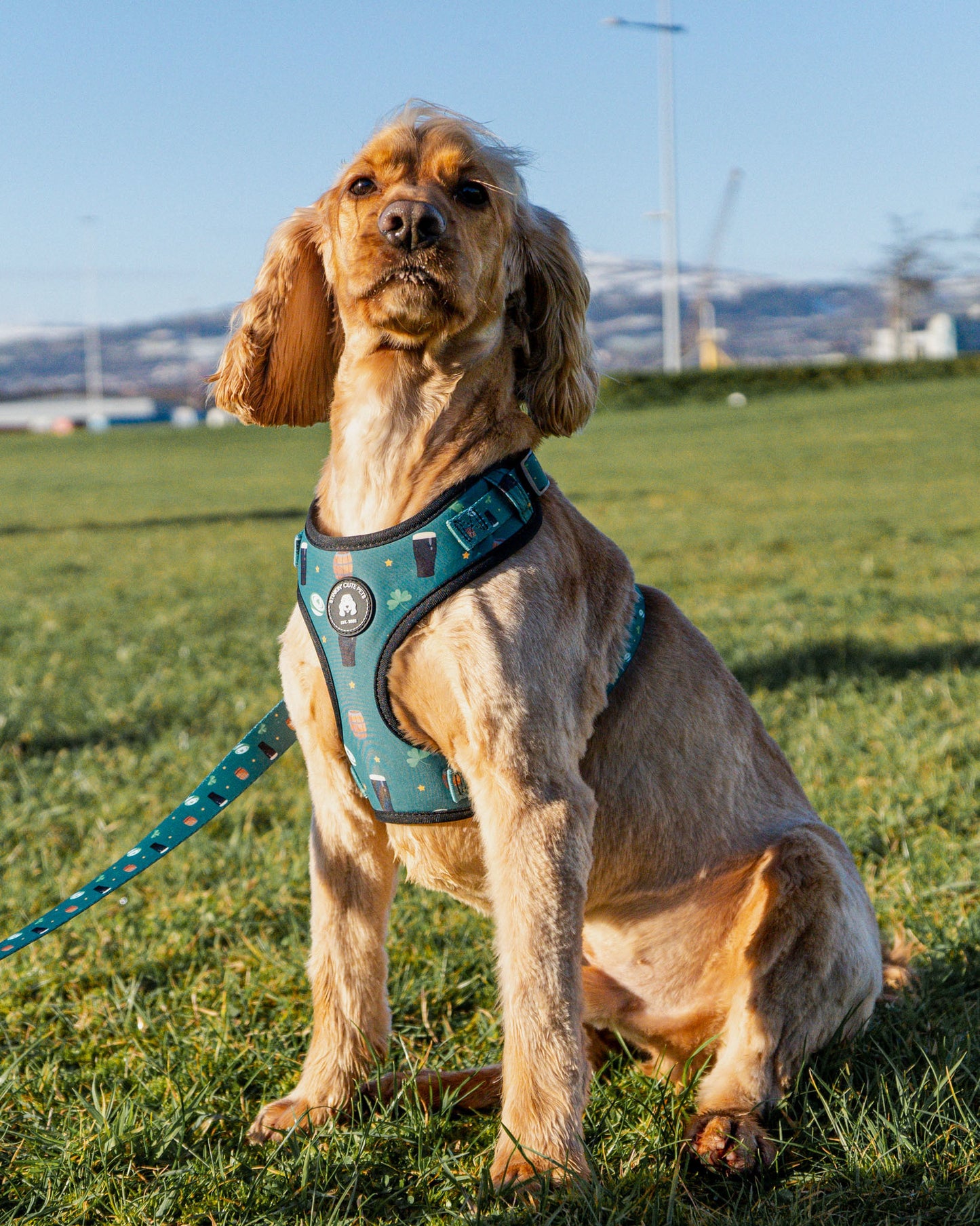Ireland Eejit Harness (Adjustable)